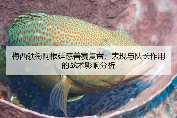 梅西领衔阿根廷慈善赛复盘：表现与队长作用的战术影响分析